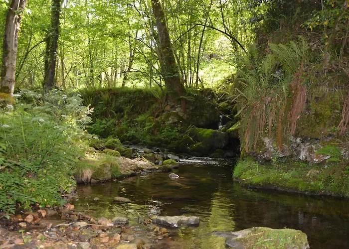 Rurales Piedrafita *